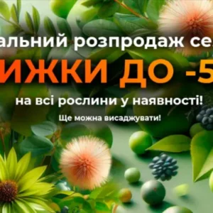 Финальная распродажа сезона до -50%!